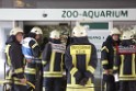 Feuer Zoo Aquarium Koeln Riehl P19